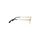 Titanium Prestige - The Kensington Elite Eyewear Collection(UNISEX) - GOLD